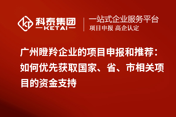 廣州瞪羚企業(yè)的項目申報和推薦：如何優(yōu)先獲取國家、省、市相關(guān)項目的資金支持