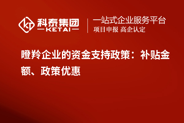 瞪羚企業(yè)的資金支持政策：補貼金額、政策優(yōu)惠