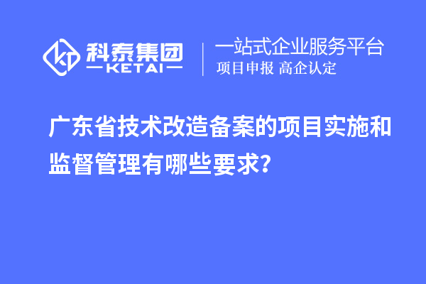 廣東省技術改造備案的項目實施和監(jiān)督管理有哪些要求？