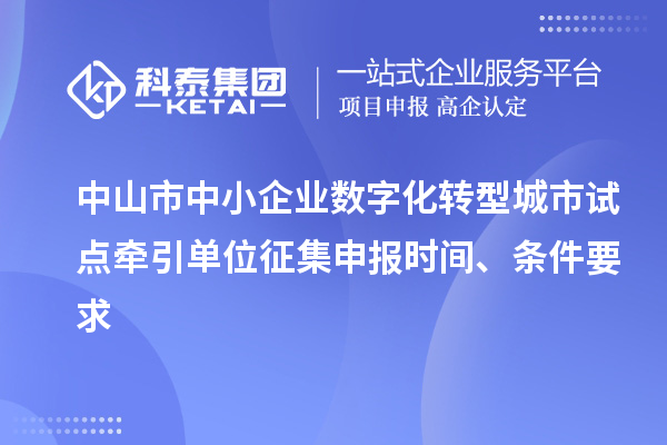 中山市中小企業(yè)數(shù)字化轉(zhuǎn)型城市試點(diǎn)牽引單位征集申報(bào)時(shí)間、條件要求