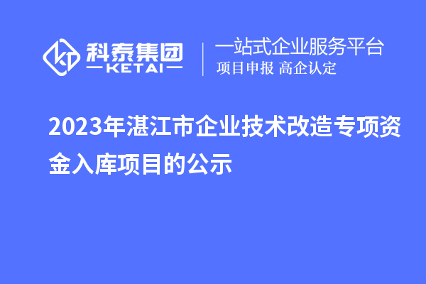 2023年湛江市企業(yè)技術(shù)改造專項(xiàng)資金入庫項(xiàng)目的公示