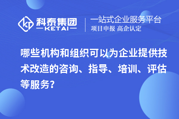 哪些機(jī)構(gòu)和組織可以為企業(yè)提供技術(shù)改造的咨詢、指導(dǎo)、培訓(xùn)、評(píng)估等服務(wù)？