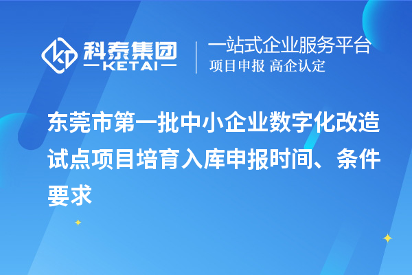 東莞市第一批中小企業(yè)數字化改造試點(diǎn)項目培育入庫申報時(shí)間、條件要求