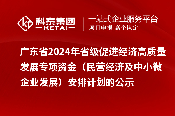 廣東省2024年省級促進(jìn)經(jīng)濟高質(zhì)量發(fā)展專(zhuān)項資金（民營(yíng)經(jīng)濟及中小微企業(yè)發(fā)展）安排計劃的公示