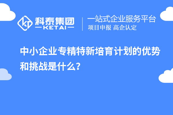 中小企業(yè)專精特新培育計(jì)劃的優(yōu)勢(shì)和挑戰(zhàn)是什么？