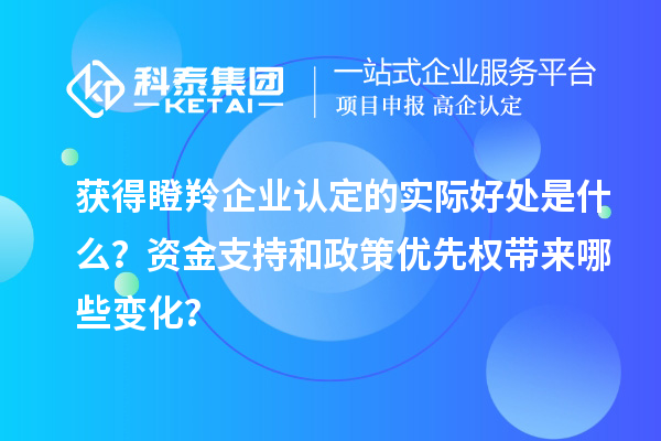 獲得瞪羚企業(yè)認(rèn)定的實(shí)際好處是什么？資金支持和政策優(yōu)先權(quán)帶來哪些變化？