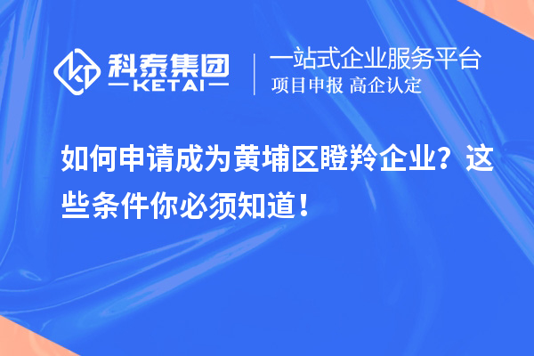 如何申請(qǐng)成為黃埔區(qū)瞪羚企業(yè)？這些條件你必須知道！