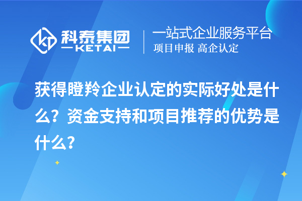 獲得瞪羚企業(yè)認定的實(shí)際好處是什么？資金支持和項目推薦的優(yōu)勢是什么？