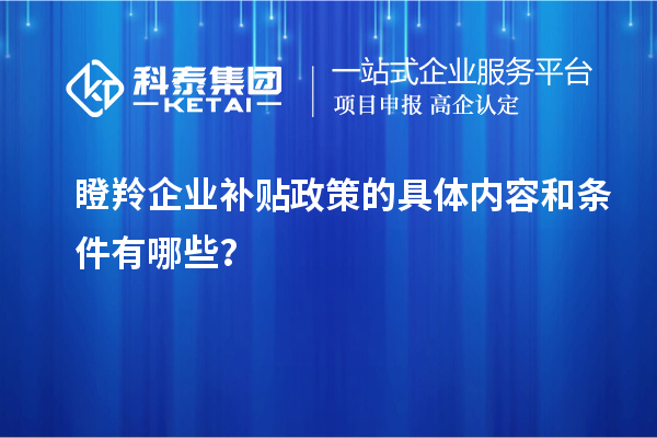 瞪羚企業(yè)補(bǔ)貼政策的具體內(nèi)容和條件有哪些？