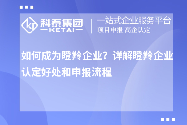 如何成為瞪羚企業(yè)？詳解<a href=http://qiyeqqexmail.cn/fuwu/dengling.html target=_blank class=infotextkey>瞪羚企業(yè)認定</a>好處和申報流程