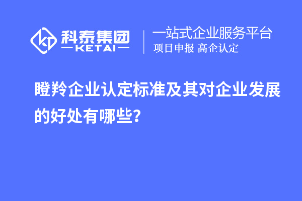 <a href=http://qiyeqqexmail.cn/fuwu/dengling.html target=_blank class=infotextkey>瞪羚企業(yè)認(rèn)定</a>標(biāo)準(zhǔn)及其對(duì)企業(yè)發(fā)展的好處有哪些？