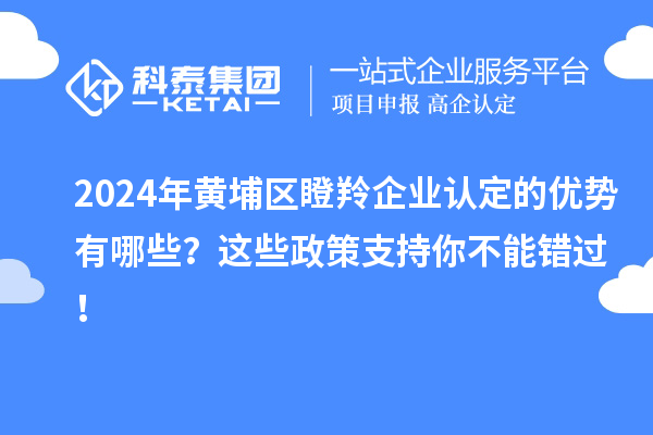 2024年黃埔區(qū)瞪羚企業(yè)認(rèn)定的優(yōu)勢(shì)有哪些？這些政策支持你不能錯(cuò)過(guò)！