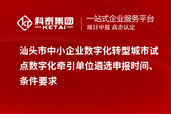 汕頭市中小企業(yè)數字化轉型城市試點(diǎn)數字化牽引單位遴選申報時(shí)間、條件要求