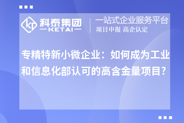 專精特新小微企業(yè)：如何成為工業(yè)和信息化部認(rèn)可的高含金量項(xiàng)目?