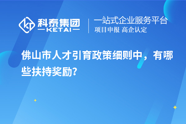 佛山市人才引育政策細(xì)則中，有哪些扶持獎(jiǎng)勵(lì)？