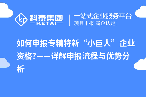 如何申報(bào)專精特新“小巨人”企業(yè)資格?——詳解申報(bào)流程與優(yōu)勢(shì)分析