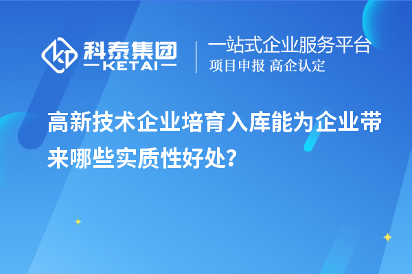 高新技術企業(yè)培育入庫能為企業(yè)帶來哪些實質性好處？