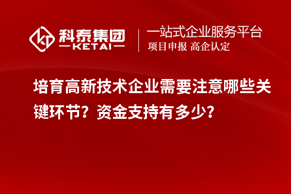 培育高新技術(shù)企業(yè)需要注意哪些關(guān)鍵環(huán)節(jié)？資金支持有多少？