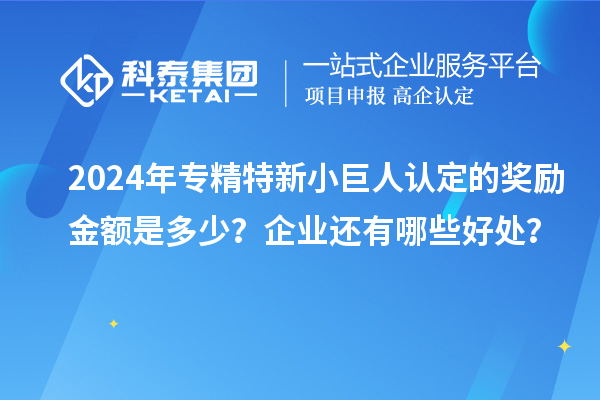 2024年專(zhuān)精特新小巨人認定的獎勵金額是多少？企業(yè)還有哪些好處？