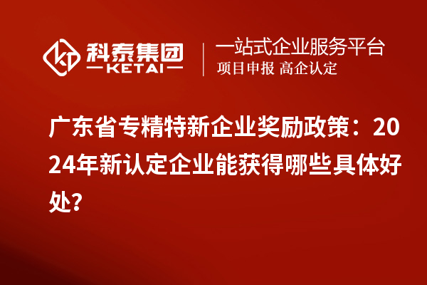 廣東省專精特新企業(yè)獎勵政策：2024年新認(rèn)定企業(yè)能獲得哪些具體好處？