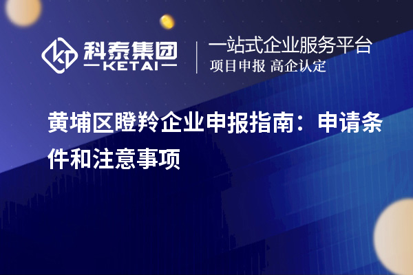 黃埔區(qū)瞪羚企業(yè)申報(bào)指南：申請條件和注意事項(xiàng)