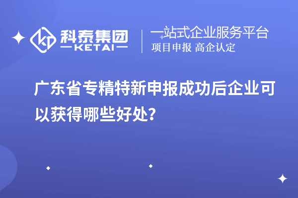 廣東省專精特新申報成功后企業(yè)可以獲得哪些好處？