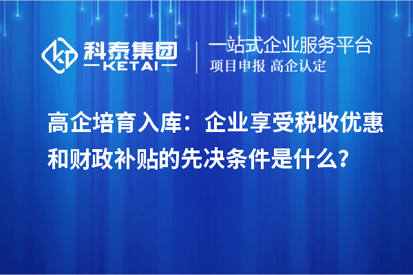 高企培育入庫(kù)：企業(yè)享受稅收優(yōu)惠和財(cái)政補(bǔ)貼的先決條件是什么？