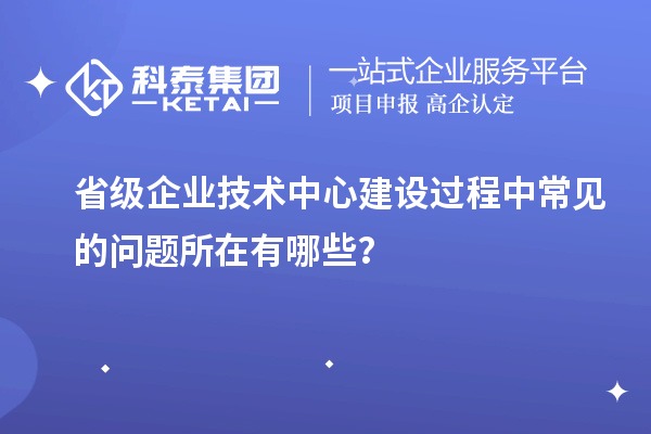 省級(jí)企業(yè)技術(shù)中心建設(shè)過(guò)程中常見的問題所在有哪些？