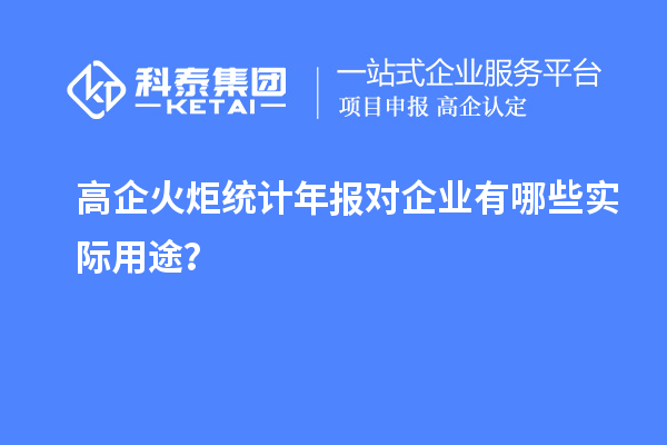 高企火炬統(tǒng)計年報對企業(yè)有哪些實際用途？