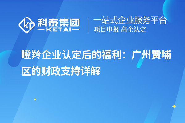 瞪羚企業(yè)認定后的福利：廣州黃埔區的財政支持詳解