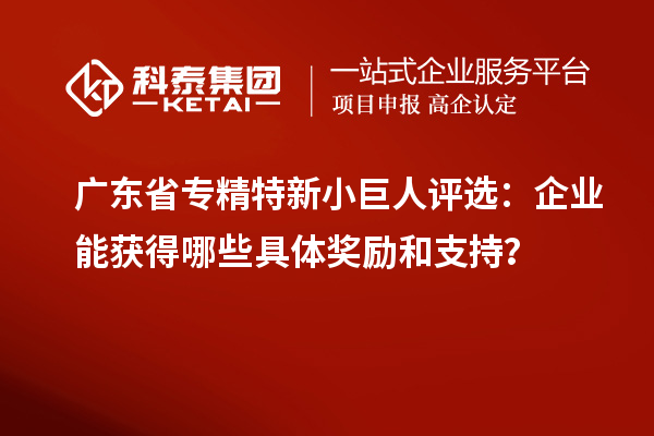 廣東省專精特新小巨人評(píng)選：企業(yè)能獲得哪些具體獎(jiǎng)勵(lì)和支持？