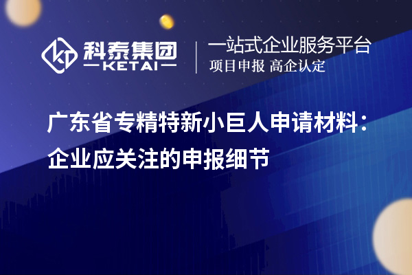 廣東省專精特新小巨人申請材料：企業(yè)應(yīng)關(guān)注的申報細(xì)節(jié)