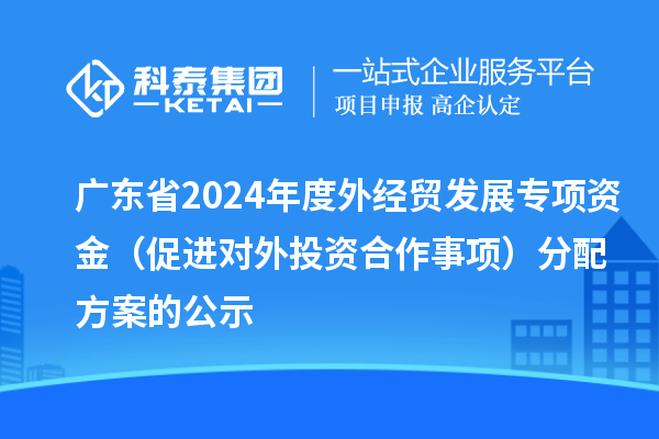 廣東省2024年度外經(jīng)貿(mào)發(fā)展專(zhuān)項(xiàng)資金（促進(jìn)對(duì)外投資合作事項(xiàng)）分配方案的公示