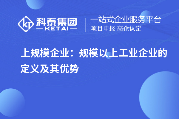 上規模企業(yè)：規模以上工業(yè)企業(yè)的定義及其優(yōu)勢