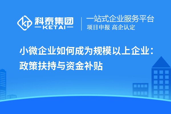 小微企業(yè)如何成為規模以上企業(yè)：政策扶持與資金補貼