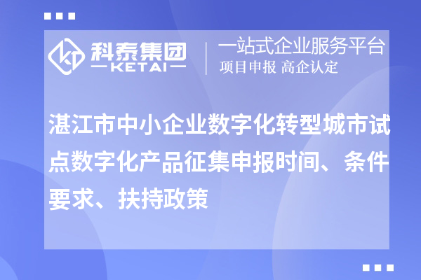 湛江市中小企業(yè)數(shù)字化轉型城市試點數(shù)字化產品征集申報時間、條件要求、扶持政策