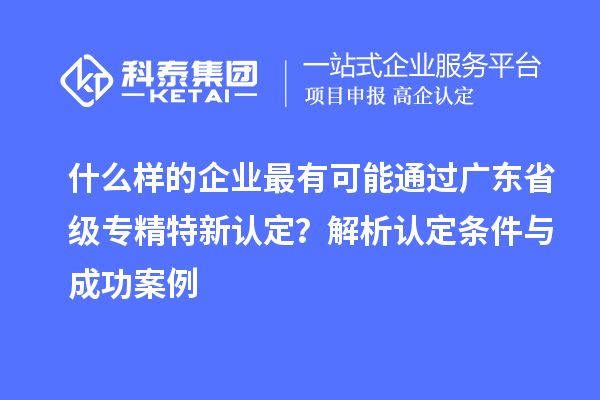 什么樣的企業(yè)最有可能通過(guò)廣東省級專(zhuān)精特新認定？解析認定條件與成功案例