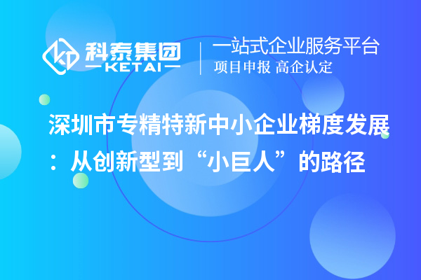 <a href=http://qiyeqqexmail.cn/shenzhen/ target=_blank class=infotextkey>深圳市專精特新</a>中小企業(yè)梯度發(fā)展：從創(chuàng)新型到“小巨人”的路徑