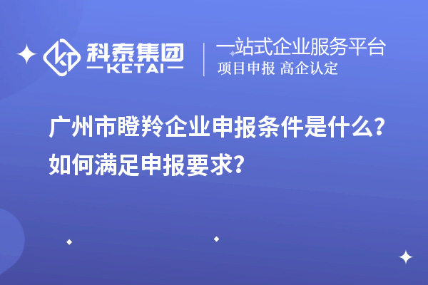 廣州市瞪羚企業(yè)申報(bào)條件是什么？如何滿足申報(bào)要求？