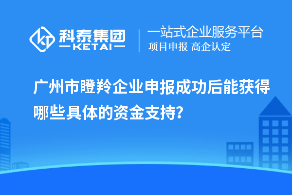 廣州市瞪羚企業(yè)申報(bào)成功后能獲得哪些具體的資金支持？