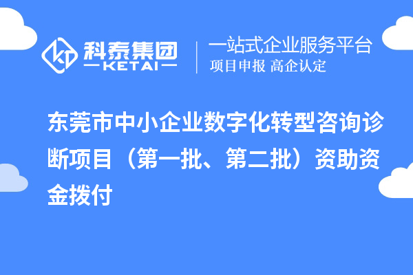 東莞市中小企業(yè)數(shù)字化轉(zhuǎn)型咨詢?cè)\斷項(xiàng)目（第一批、第二批）資助資金撥付