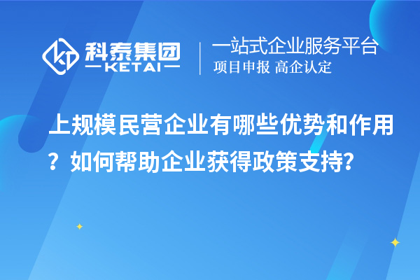 上規(guī)模民營(yíng)企業(yè)有哪些優(yōu)勢(shì)和作用？如何幫助企業(yè)獲得政策支持？