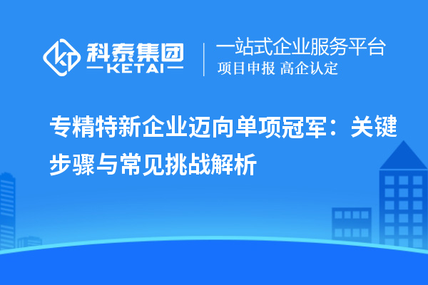 專精特新企業(yè)邁向單項冠軍：關(guān)鍵步驟與常見挑戰(zhàn)解析