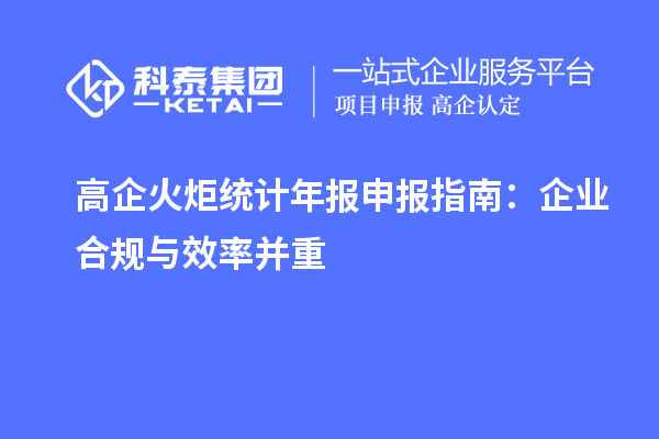  高企火炬統(tǒng)計年報申報指南：企業(yè)合規(guī)與效率并重