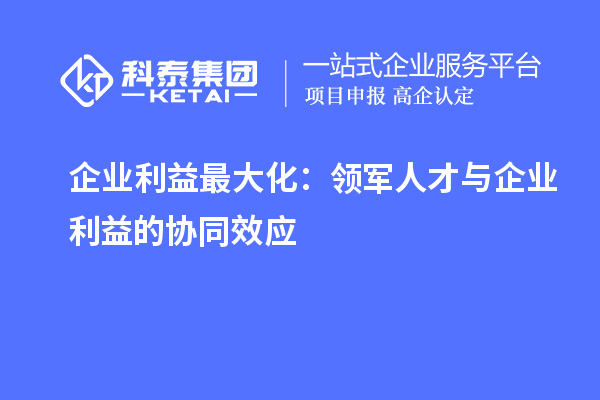 企業(yè)利益最大化：領(lǐng)軍人才與企業(yè)利益的協(xié)同效應(yīng)