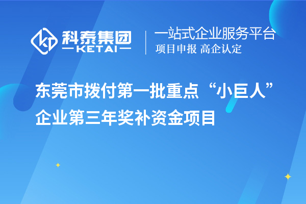 東莞市撥付第一批重點“小巨人”企業(yè)第三年獎補(bǔ)資金項目