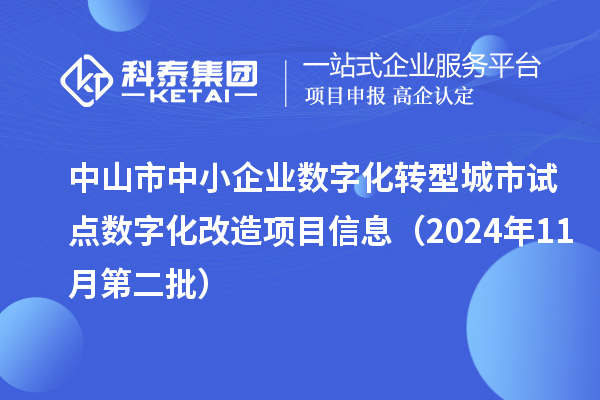 中山市中小企業(yè)數(shù)字化轉(zhuǎn)型城市試點數(shù)字化改造項目信息（2024年11月第二批）