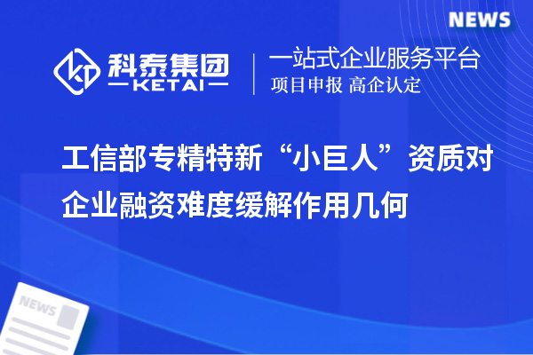 工信部專精特新 “小巨人” 資質(zhì)對企業(yè)融資難度緩解作用幾何