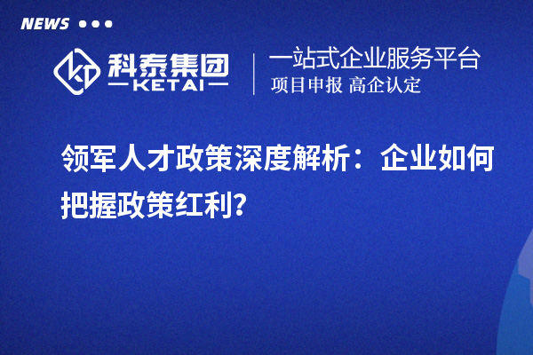 領(lǐng)軍人才政策深度解析：企業(yè)如何把握政策紅利？