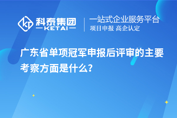 廣東省單項冠軍申報后評審的主要考察方面是什么？